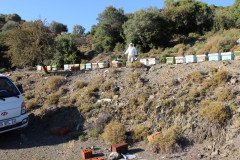 Zeba-Hayit-Cicek-Bali-105