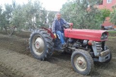 Zeba-zeytin-102