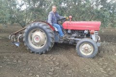 Zeba-zeytin-104